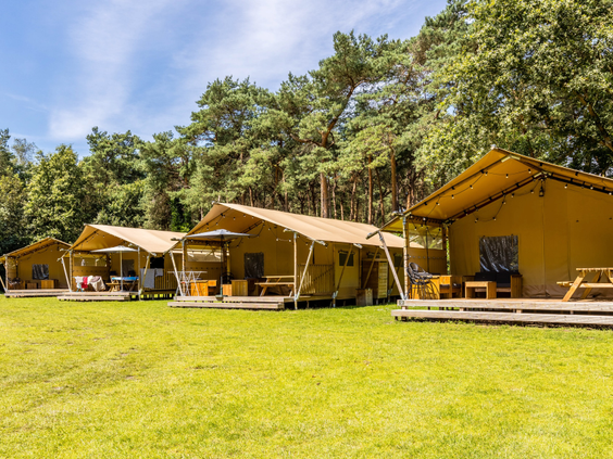 Rijke aan safaritenten op een groot grasveld op vakantiepark De Katjeskelder in Oosterhout.