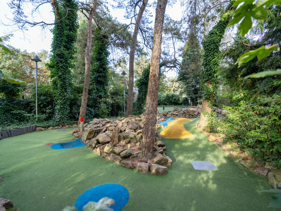 Avontuurlijke midgetgolfbaan gelegen tussen de bomen op vakantiepark De Katjeskelder.