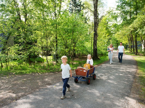 Een gezin maakt een wandeling over een bospad op Bungalowpark Hoenderloo, de kinderen trekken een bolderkar.