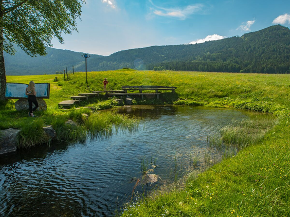 Camping Bella Austria