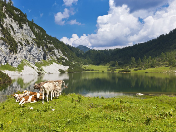 Camping Bella Austria