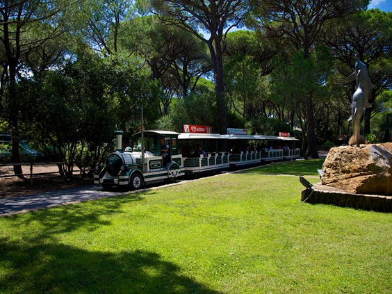 Camping Cieloverde Village