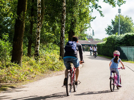 Gezin met kinderen is aan het fietsen op een fietspad in de bosrijke omgeving van Camping de Schatberg in Limburg.