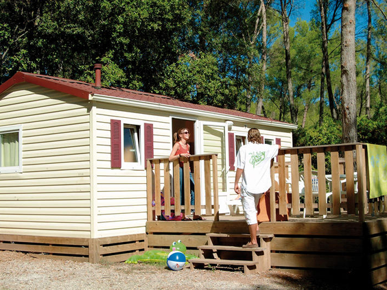 Camping Holiday Green