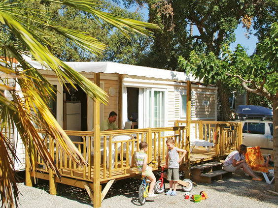 Camping Holiday Green