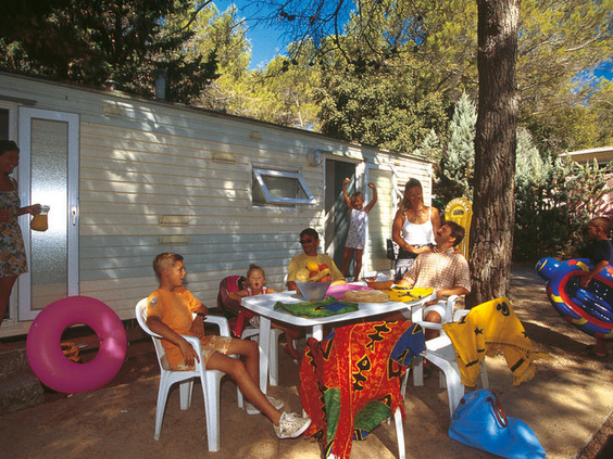 Camping Holiday Green