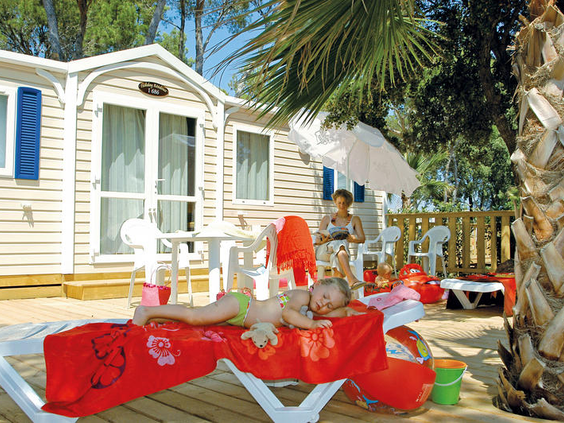 Camping Holiday Green