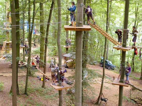 Overzicht van het avontuurlijke klimbos (Kletterwald) in Eschwege, met diverse klimmers op verschillende parcoursen tussen de bomen.