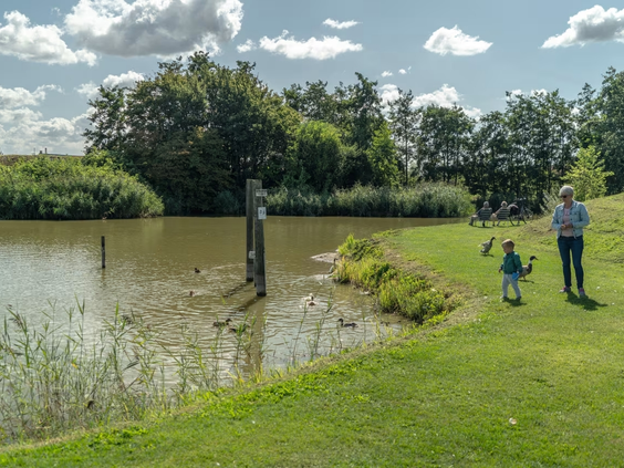 Camping Koningshof