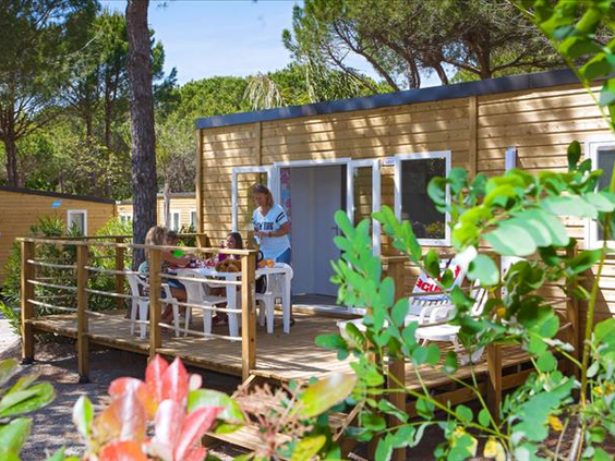 Camping La Baume/La Palmeraie