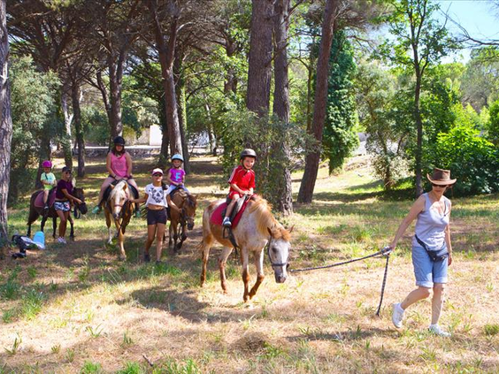 Camping La Baume/La Palmeraie