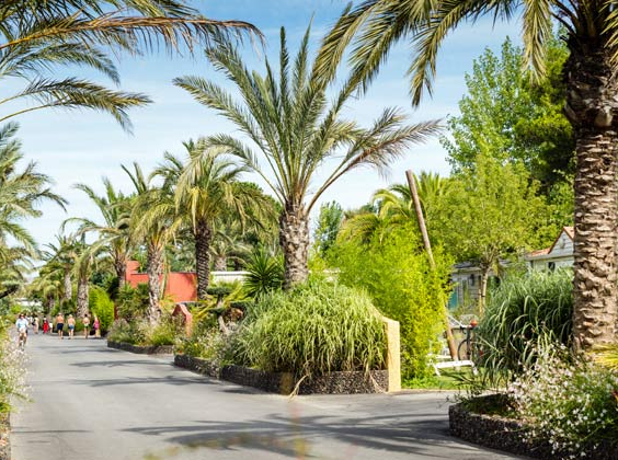 Camping La Sirène