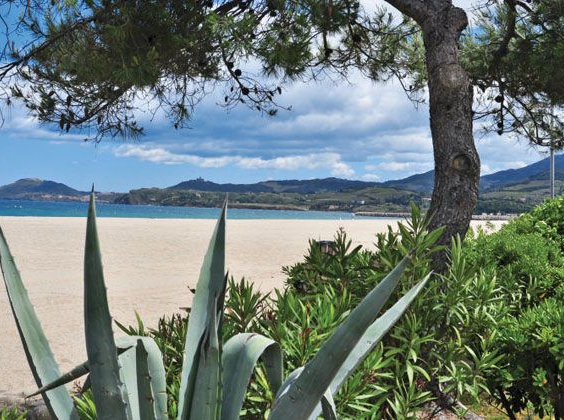 Camping La Sirène