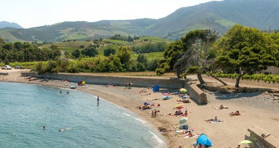 Camping Le Neptune