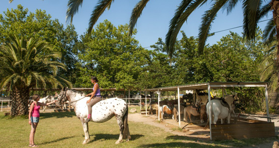 Camping Le Neptune