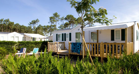 Camping les Vignes