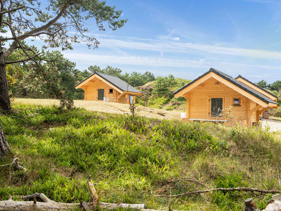 Moderne, houten chalets, de zogenoemde duinlodges, gelegen tegen een heuvel in het groene duinlandschap van Camping Loodsmansduin.