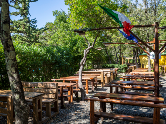 montescudaio---terras_49167529243_o.jpg