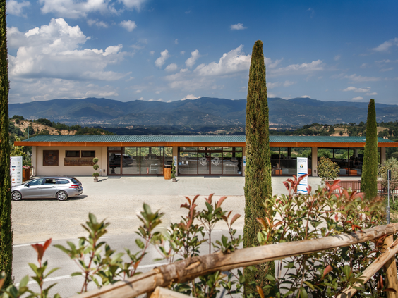 norcenni-girasole-club_44865381475_o.jpg