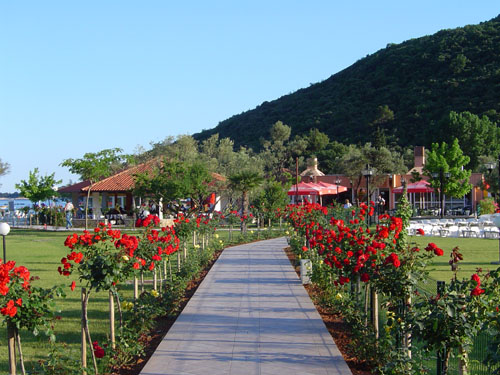Camping Oliva