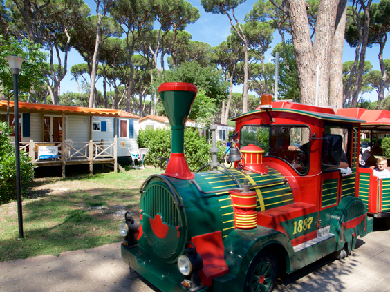 Het vrolijk gekleurde campingtreintje rijdt langs de stacaravans onder de pijnbomen op de grote familiecamping Park Albatros in Toscane.