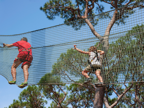 Kinderen en volwassenen klimmen over een nettenparcours in het boomtoppenparcours van het klimpark op camping Park Albatros.