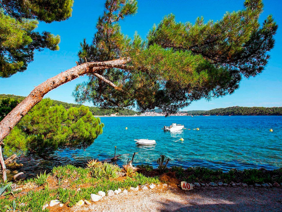 Camping Poljana