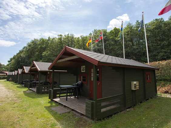 BS195012.jpg