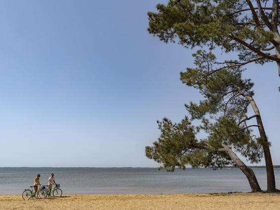 Camping Sanguinet Plage
