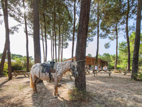 Camping Soustons Village