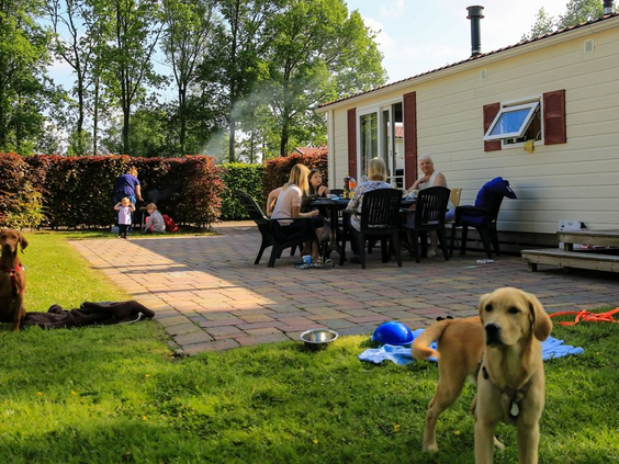 Camping Wedderbergen