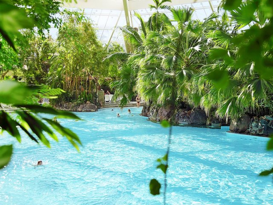 Overzicht van het tropische zwemparadijs Aqua Mundo in Center Parcs Bispinger Heide, met helderblauw water en weelderige groene planten en palmbomen