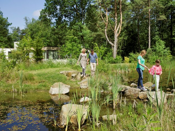 Een familie met kinderen steekt via stapstenen een watertje over tijdens een avontuurlijke wandeling door de natuur van Center Parcs Bispinger Heide.