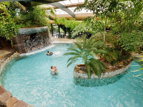 Het tropische lagunebad in zwemparadijs Aqua Mundo van Het Meerdal, met een kleine waterval, een eiland met een palmboom en zwemmende gasten.