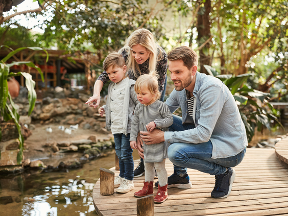 Een gezin met twee jonge kinderen staat op een houten vlonder en kijkt naar het water in de groene, bosrijke omgeving van Center Parcs Het Meerdal.