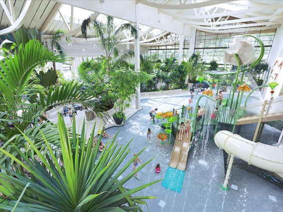 Overzicht van het tropische zwemparadijs Aqua Mundo bij Center Parcs Bostalsee, vol met palmbomen, planten en diverse zwembaden.