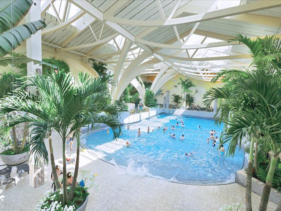 Het golfslagbad in het subtropische zwemparadijs Aqua Mundo van Center Parcs Bostalsee, omringd door palmbomen.