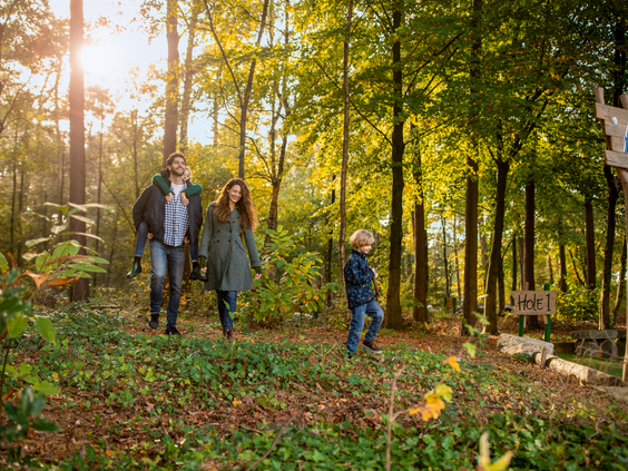Een gezin met een jong kind maakt een wandeling over een bospad vol bladeren tijdens een zonnige dag bij Center Parcs Erperheide.