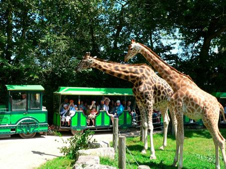 Cerza Safari Lodge