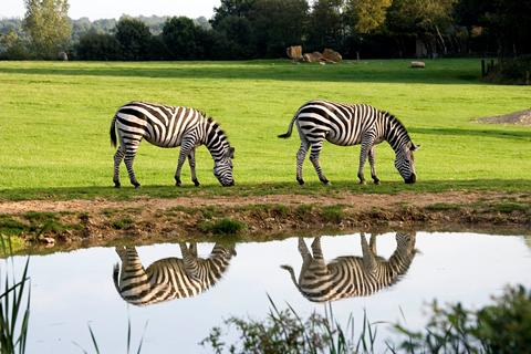 Cerza Safari Lodge