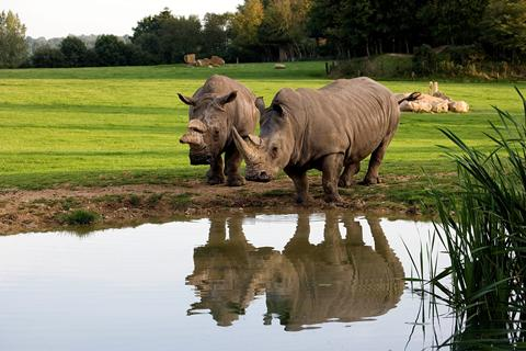 Cerza Safari Lodge