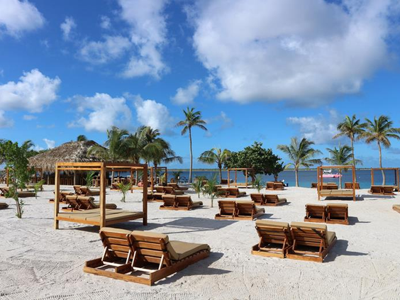 Ligbedden en palmbomen op een zonnig zandstrand op Curaçao