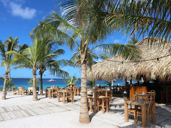 TIME TO SMILE Chogogo Bonaire