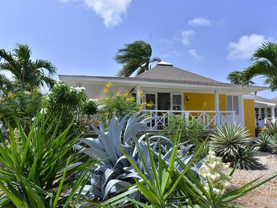 Een vrolijk geel geschilderde bungalow van CHOGOGO Dive & Beach Resort op Curaçao, omgeven door een weelderige tropische tuin.