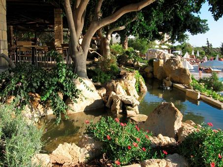Coral Beach Resort