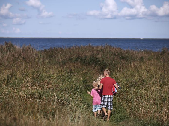 Vakantiepark Danland Bork Havn