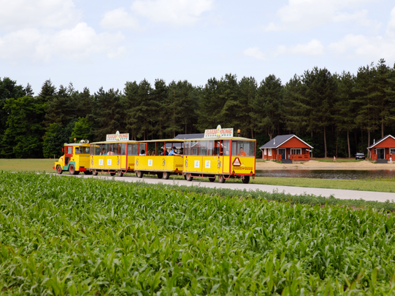 Het gele parktreintje van Molecaten Park De Flaasbloem rijdt langs een maïsveld en de vakantiehuisjes op het park in Noord-Brabant.