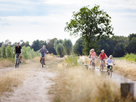 Kinderen fietsen en crossen over zandpaden in natuurgebied bij De Flaasbloem
