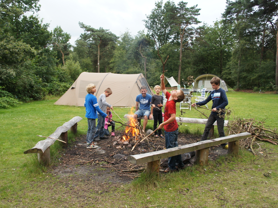 Kinderen zitten rond een kampvuur op een kampeerveld op Molecaten Park De Flaasbloem, waar ze broodjes bakken en marshmallows roosteren.