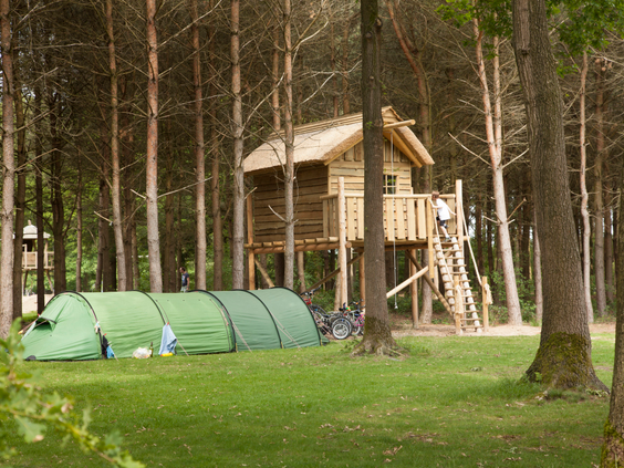 Een groene tent staat op een kampeerplaats in het bos, direct naast een avontuurlijke houten boomhut op Molecaten Park De Flaasbloem.